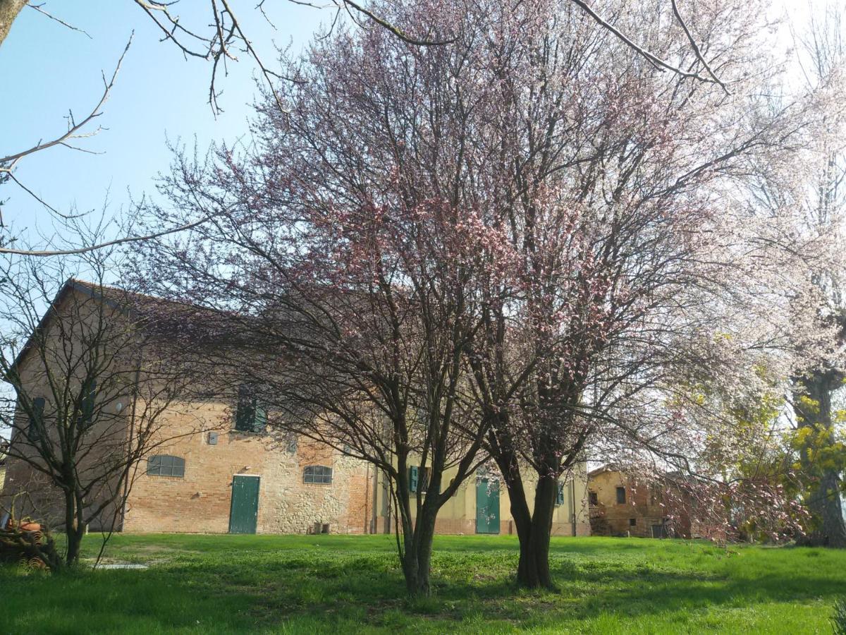 Il Boschetto Di Morgana Acomodação com café da manhã Castel San Pietro Terme Exterior foto