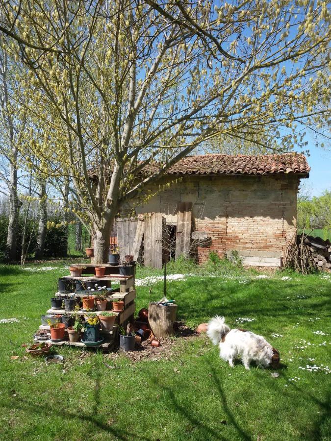 Il Boschetto Di Morgana Acomodação com café da manhã Castel San Pietro Terme Exterior foto