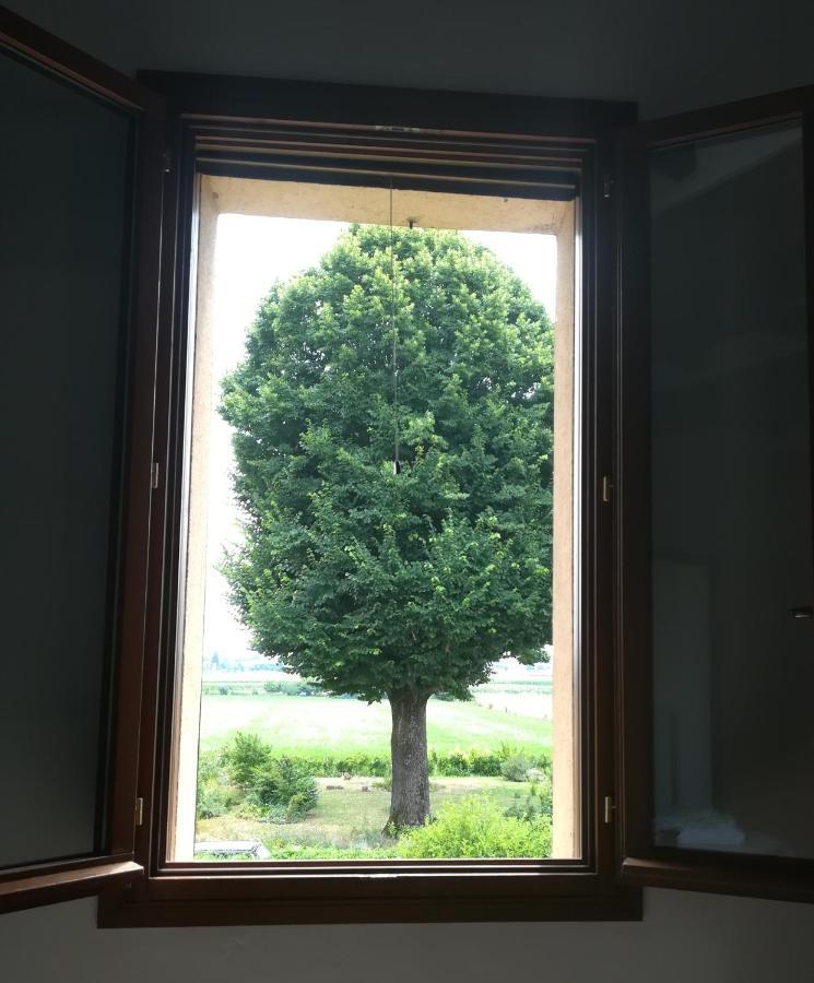 Il Boschetto Di Morgana Acomodação com café da manhã Castel San Pietro Terme Exterior foto