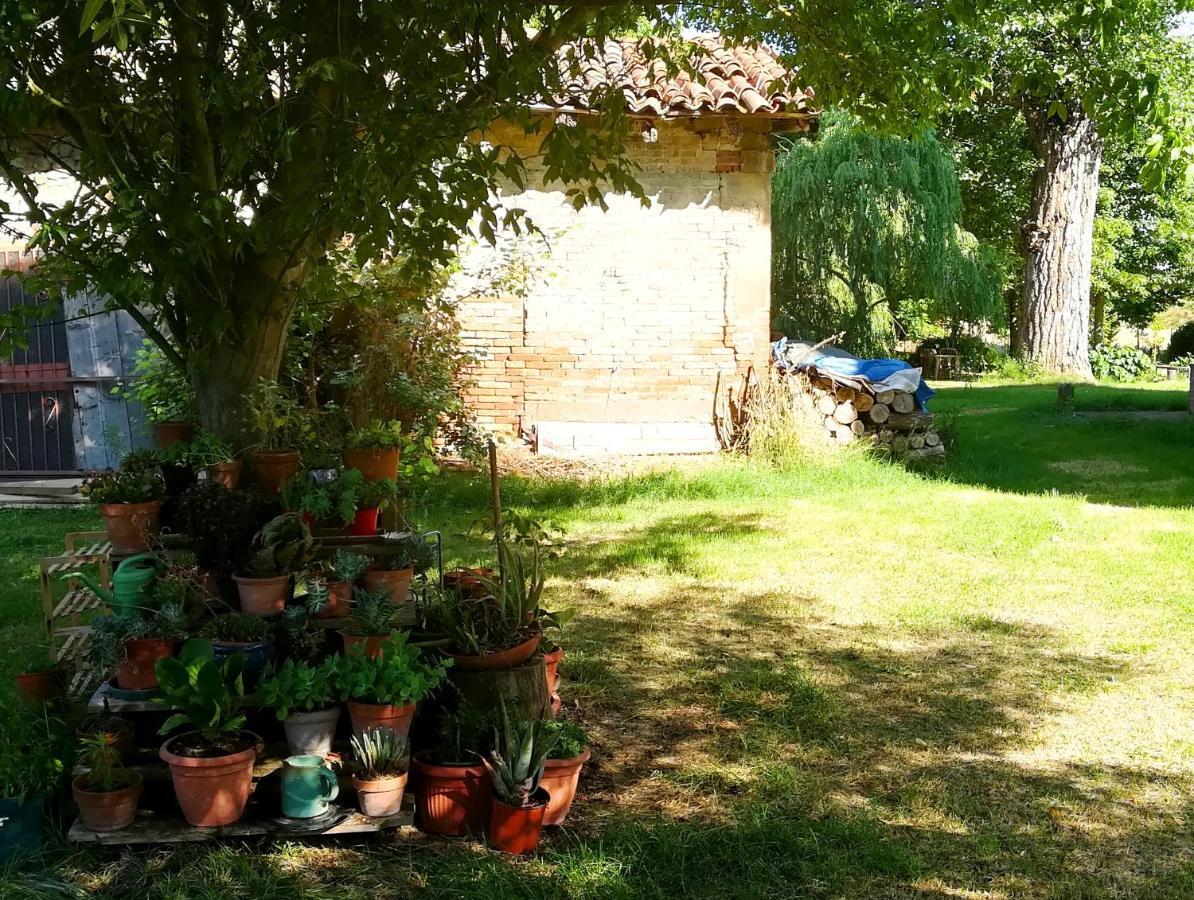 Il Boschetto Di Morgana Acomodação com café da manhã Castel San Pietro Terme Exterior foto